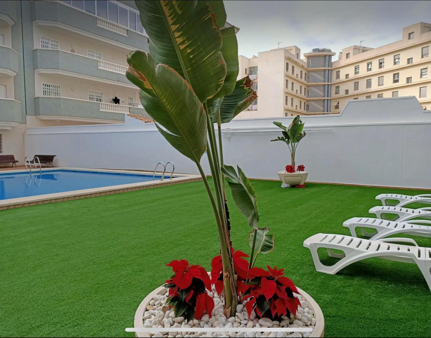 Exclusive Penthouse Pool & Beach - Lovely For Families - Los Pinos Residential El Campello Exterior foto